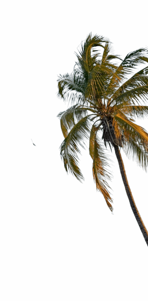 Palm tree swaying in the breeze with a clear blue sky in the background, capturing a tropical vibe.
