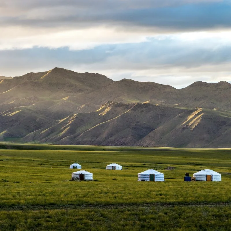 View Our Mongolia Highlights