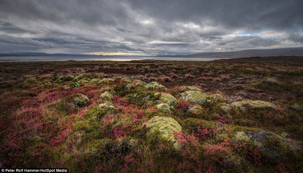 Iceland’s Rugged Beauty Through Our