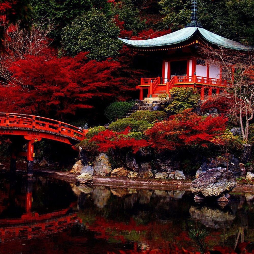 Browse the Japan Gallery