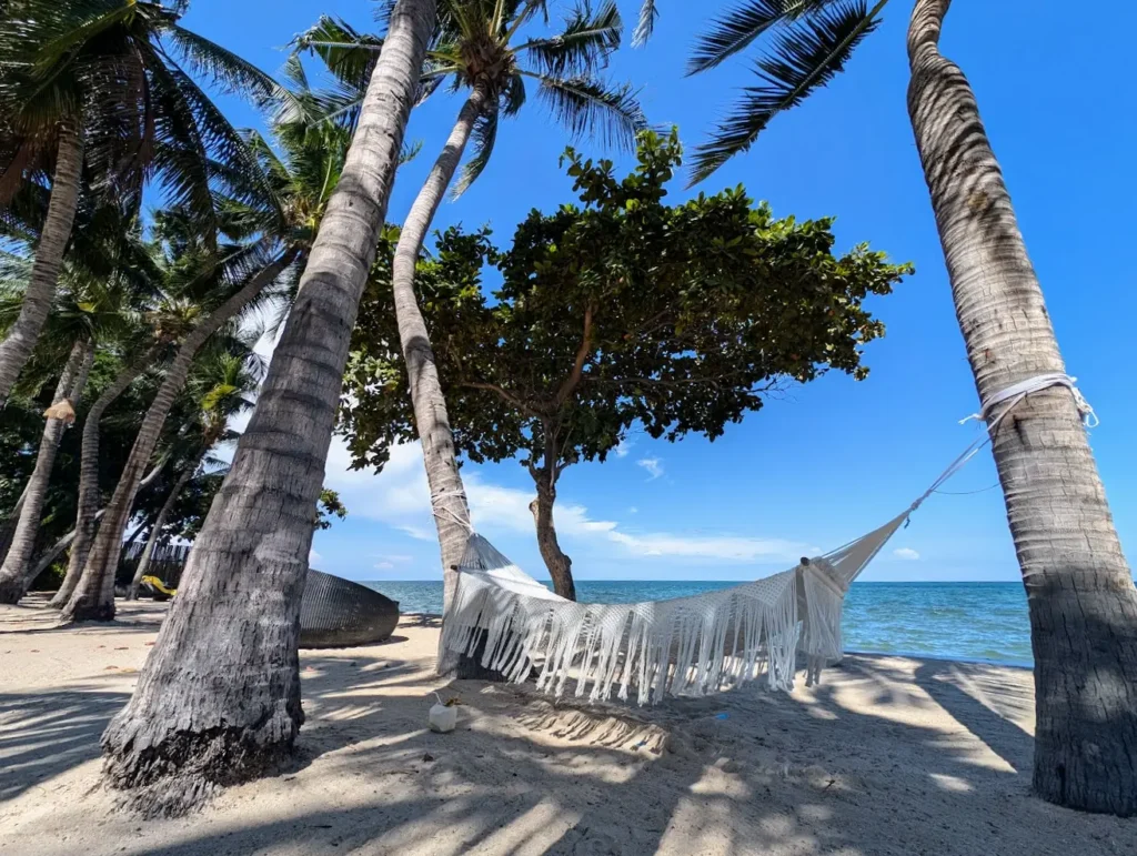 Hangmat-aan-tropisch-strand-Thailand-1