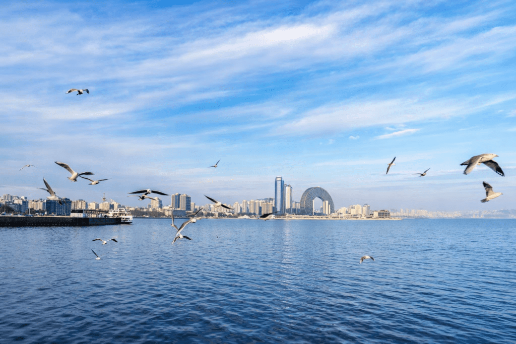 A panoramic view of a coastal city skyline featuring modern buildings and a distinctive circular structure, with seagulls flying over the tranquil water under a clear blue sky.