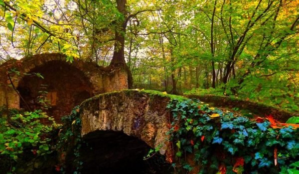 Uncover Hungary’s Rich