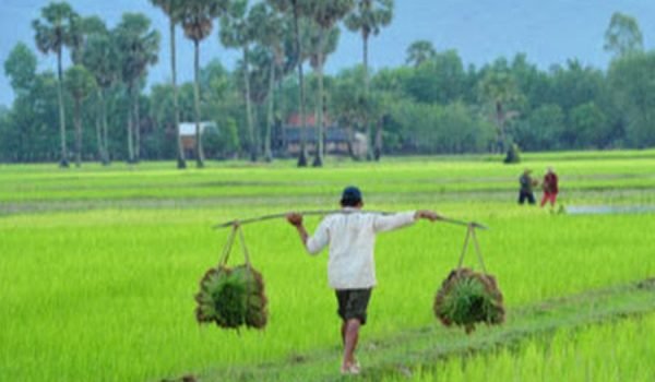 Where Work Meets Wonder